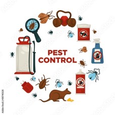 Pest Control Service